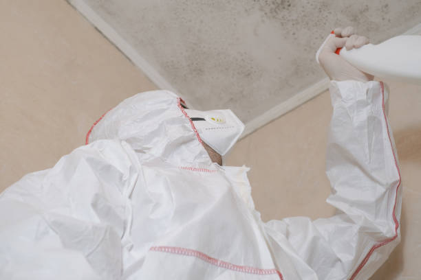 Best Industrial Mold Remediation in Wasco, CA